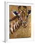 Gold Giraffe-Patricia Pinto-Framed Art Print