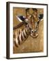 Gold Giraffe-Patricia Pinto-Framed Art Print