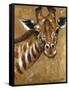 Gold Giraffe-Patricia Pinto-Framed Stretched Canvas