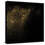 Gold Glitter Texture on a Black Background. Golden Explosion of Confetti. Golden Grainy Abstract Te-sergio34-Stretched Canvas