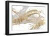 Gold & Grey II-Studio W-Framed Premium Giclee Print