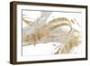 Gold & Grey II-Studio W-Framed Art Print