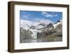 Gold Harbour with mighty Bertrab Glacier on South Georgia Island-Martin Zwick-Framed Photographic Print