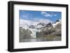 Gold Harbour with mighty Bertrab Glacier on South Georgia Island-Martin Zwick-Framed Photographic Print