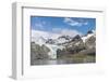 Gold Harbour with mighty Bertrab Glacier on South Georgia Island-Martin Zwick-Framed Photographic Print