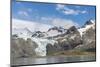 Gold Harbour with mighty Bertrab Glacier on South Georgia Island-Martin Zwick-Mounted Photographic Print