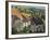 Gold Hill, and View over Blackmore Vale, Shaftesbury, Dorset, England, United Kingdom, Europe-Neale Clarke-Framed Photographic Print