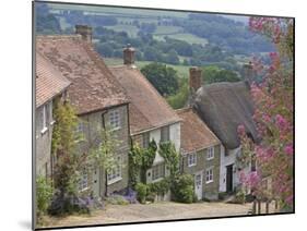 Gold Hill in June, Shaftesbury, Dorset, England, United Kingdom, Europe-Jean Brooks-Mounted Photographic Print