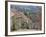 Gold Hill in June, Shaftesbury, Dorset, England, United Kingdom, Europe-Jean Brooks-Framed Photographic Print