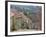 Gold Hill in June, Shaftesbury, Dorset, England, United Kingdom, Europe-Jean Brooks-Framed Photographic Print