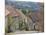 Gold Hill in June, Shaftesbury, Dorset, England, United Kingdom, Europe-Jean Brooks-Mounted Photographic Print