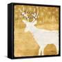 Gold Holiday II-Paul Brent-Framed Stretched Canvas