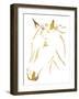 Gold Horse-OnRei-Framed Art Print