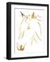 Gold Horse-OnRei-Framed Art Print