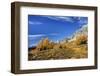 Gold in the Meadow-Ursula Abresch-Framed Photographic Print