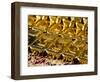 Gold Ingots, Frankfurt, Germany, Europe-Hans Peter Merten-Framed Photographic Print