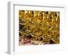 Gold Ingots, Frankfurt, Germany, Europe-Hans Peter Merten-Framed Photographic Print