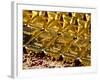 Gold Ingots, Frankfurt, Germany, Europe-Hans Peter Merten-Framed Photographic Print