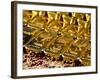 Gold Ingots, Frankfurt, Germany, Europe-Hans Peter Merten-Framed Photographic Print