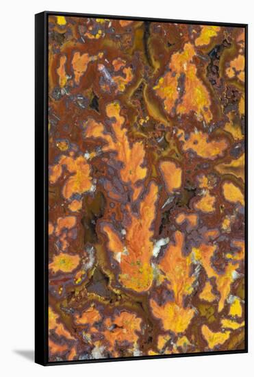 Gold Leaf Agate-Darrell Gulin-Framed Stretched Canvas