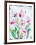 Gold leaf Cyclamen 1-Li Bo-Framed Giclee Print