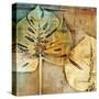 Gold Leaves II-Patricia Pinto-Stretched Canvas