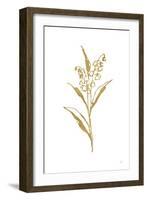 Gold Line Lily of the Valley II-Chris Paschke-Framed Art Print