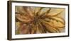 Gold Lotus I-Caroline Ashwood-Framed Giclee Print