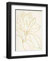 Gold Magnolia Line Drawing v2 Crop-Moira Hershey-Framed Art Print