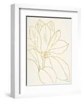 Gold Magnolia Line Drawing v2 Crop-Moira Hershey-Framed Art Print