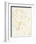 Gold Magnolia Line Drawing v2 Crop-Moira Hershey-Framed Art Print