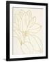 Gold Magnolia Line Drawing v2 Crop-Moira Hershey-Framed Art Print