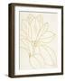 Gold Magnolia Line Drawing v2 Crop-Moira Hershey-Framed Art Print