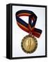 Gold Medal-Paul Sutton-Framed Stretched Canvas