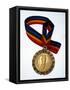 Gold Medal-Paul Sutton-Framed Stretched Canvas