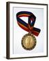 Gold Medal-Paul Sutton-Framed Photographic Print