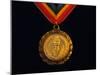 Gold Medal-Paul Sutton-Mounted Photographic Print