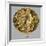 Gold Medallion from Volos-null-Framed Giclee Print