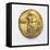 Gold Medallion-null-Framed Stretched Canvas