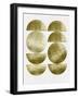 Gold Mid Century Half Circles-Eline Isaksen-Framed Art Print