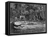 Gold Mining Camp in America-null-Framed Stretched Canvas