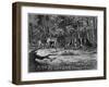 Gold Mining Camp in America-null-Framed Art Print