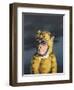 Gold Monkey, 2008,-Peter Jones-Framed Giclee Print