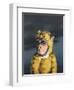 Gold Monkey, 2008,-Peter Jones-Framed Giclee Print