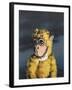 Gold Monkey, 2008,-Peter Jones-Framed Giclee Print