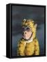 Gold Monkey, 2008,-Peter Jones-Framed Stretched Canvas
