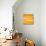 Gold Monochromatic-Gil Miller-Stretched Canvas displayed on a wall