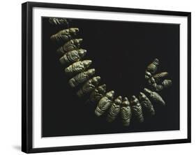 Gold Necklace Formed by Small Stylized Birds, Artifact Originating from Restrepo-null-Framed Giclee Print