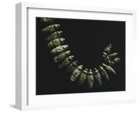 Gold Necklace Formed by Small Stylized Birds, Artifact Originating from Restrepo-null-Framed Giclee Print