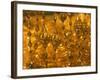 Gold Necklace on Display, the Gold Souk, Deira, Dubai, United Arab Emirates, Middle East-Amanda Hall-Framed Photographic Print